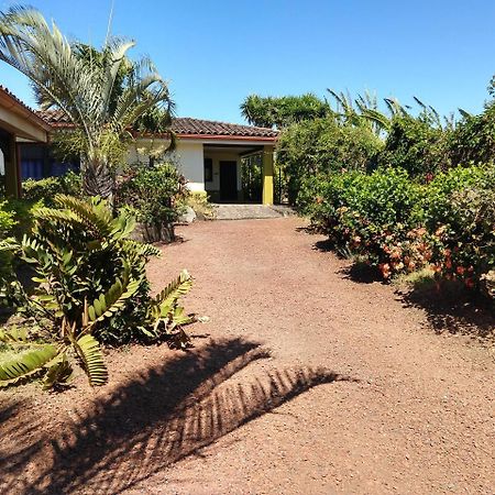Dos Palmas Studio Apartments Río Segundo Dış mekan fotoğraf